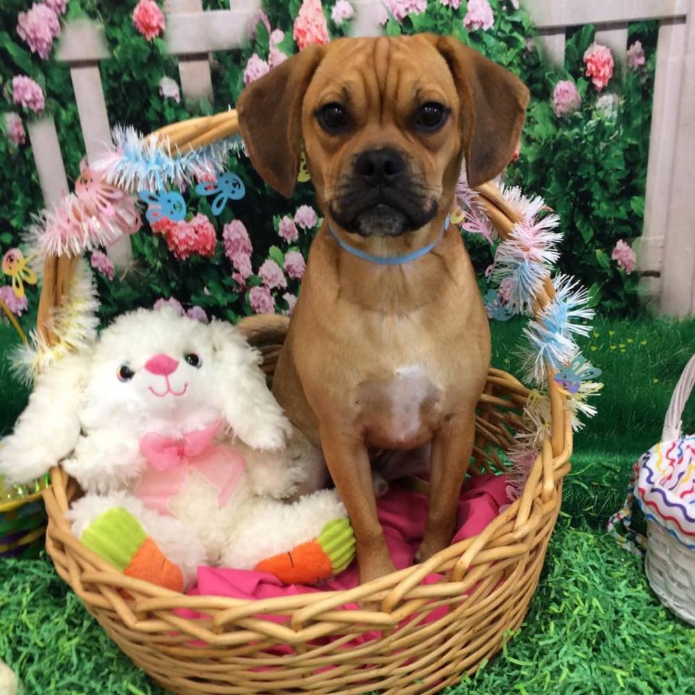 Meet your Posher, Jeni